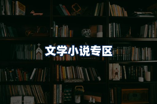 文学小说PDF展示